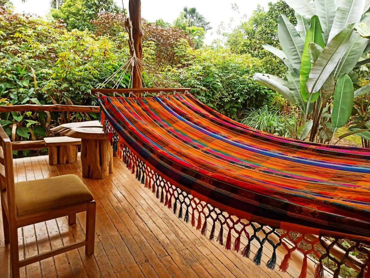 Rio Napo Lodge Misahualli Bagian luar foto