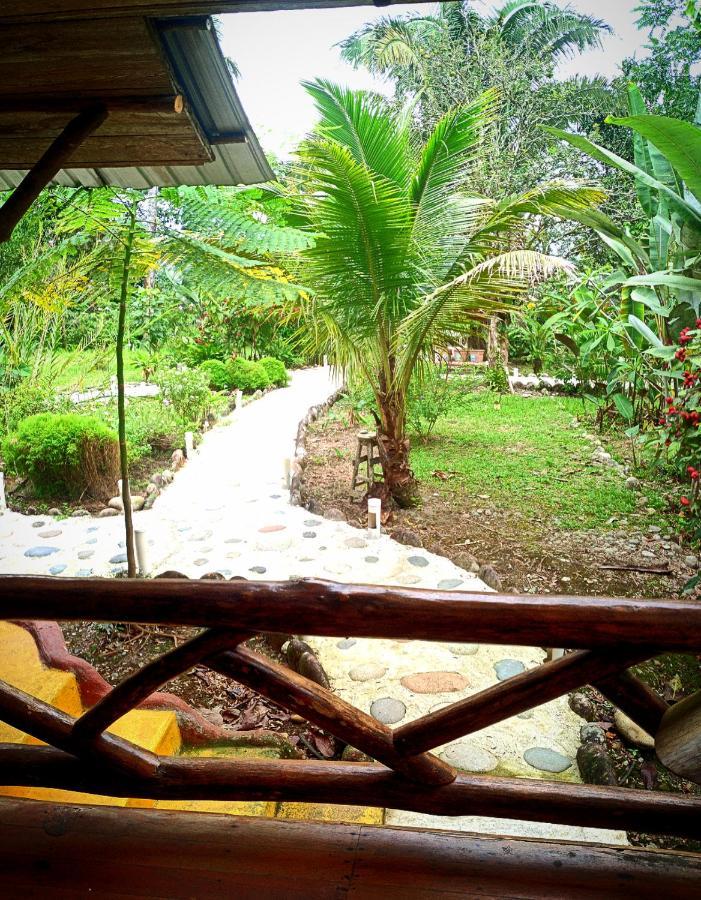 Rio Napo Lodge Misahualli Bagian luar foto
